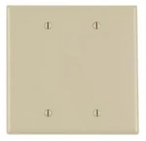 Clearance GP 2-Gang Blank Plastic Wall Plate, Ivory